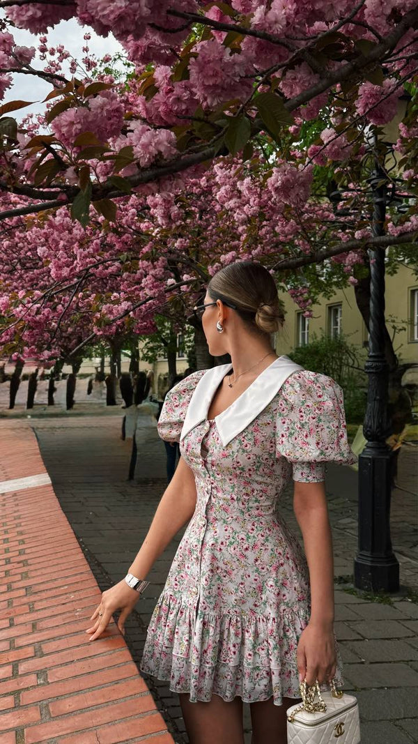 Blush Garden Reverie Dress