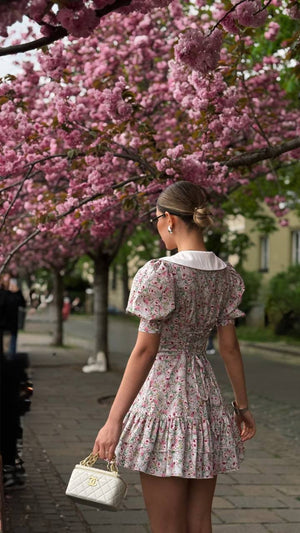 Blush Garden Reverie Dress