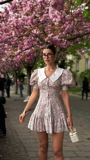 Blush Garden Reverie Dress