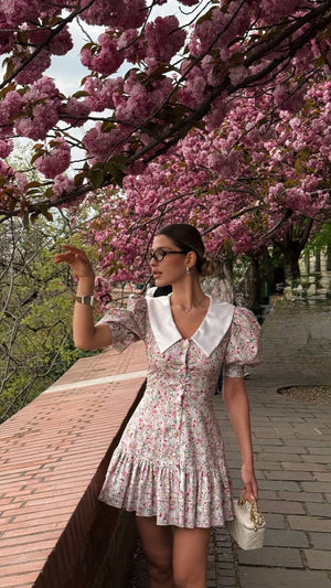 Blush Garden Reverie Dress