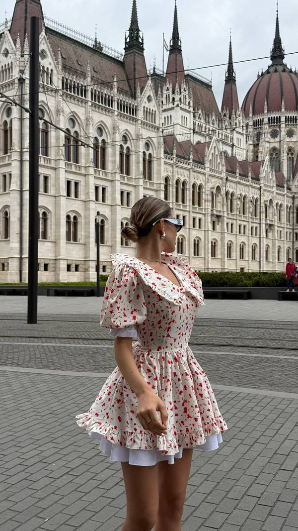 Vintage Charm Cotton Mini Dress – Scarlet Bloom Print