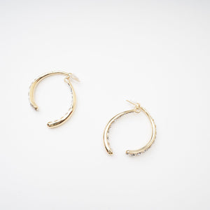 Crystal Accent Gold Crescent Earrings