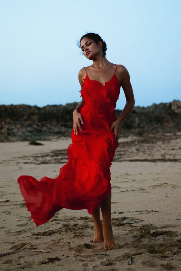 Ruffled Sheer Maxi Dress