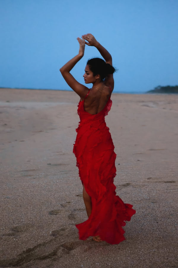 Ruffled Sheer Maxi Dress