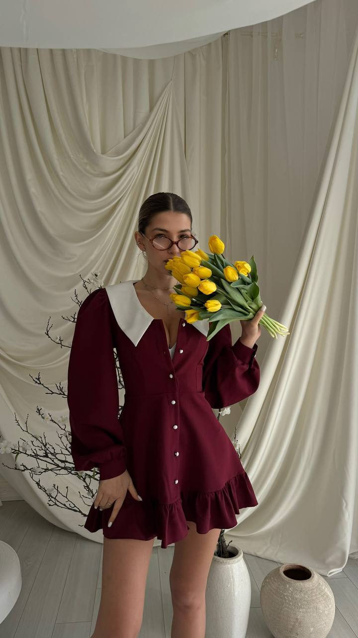 Bordeaux Muse Mini Dress