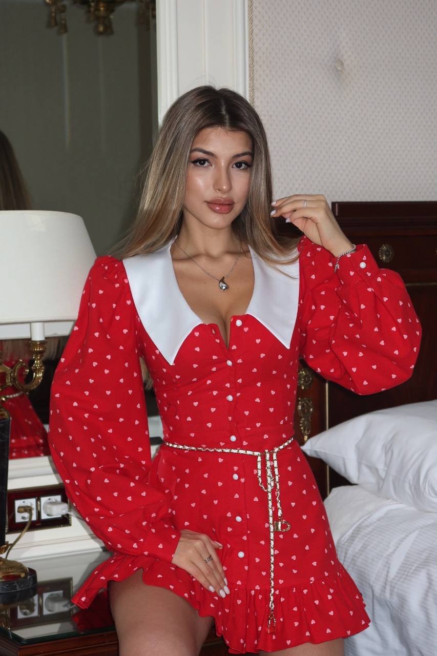 Scarlet Heart Mini Dress